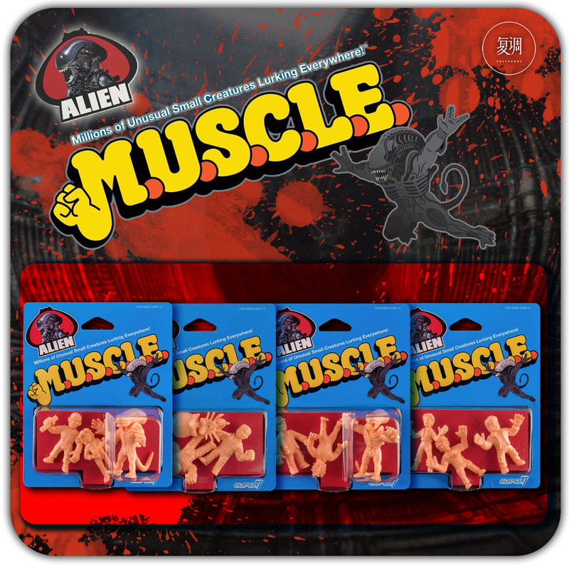 Polyphony Super7 Muscle Stokta - Vintage Toys Collector incelemesi ve fiyatı